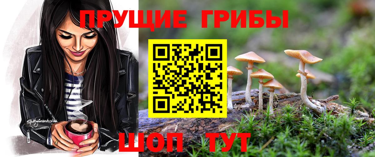 Галлюциногенные грибы Psilocybine cubensis  Галлюциногенные грибы Cubensis  Вход с VPN  Звенигород 
