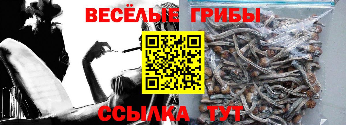 Псилоцибиновые грибы мицелий Звенигород